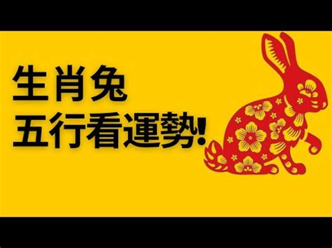 兔五行屬什麼|【兔五行屬什麼】揭秘兔五行屬什麼？12年生肖兔五行屬性大公。